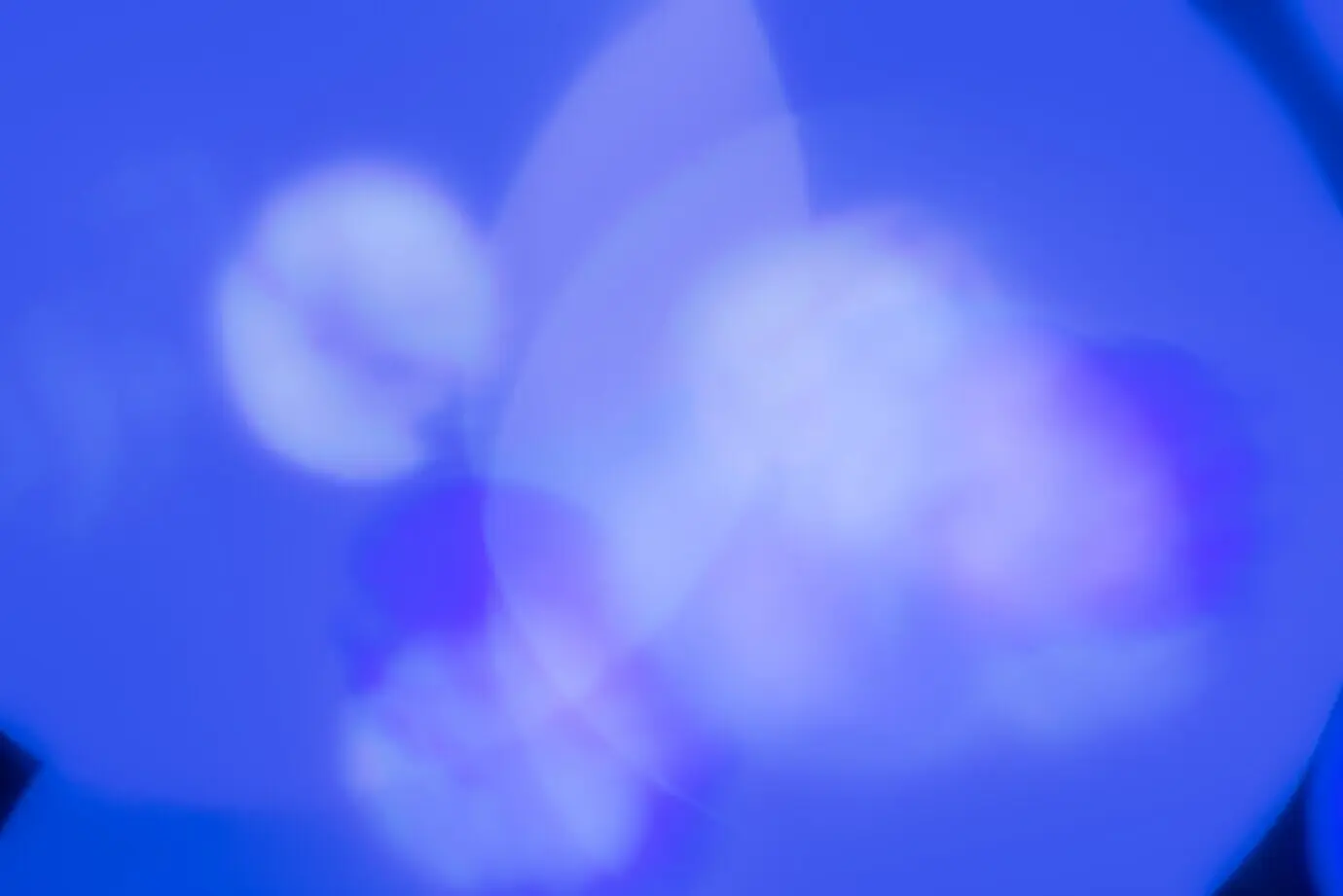 Abstract blurred background with light leaks